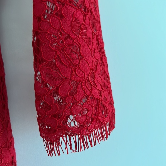 J Crew Red Lace Sheath Dress - Picture 11 of 11